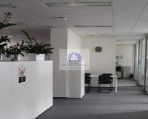 Ursynów : lokal biurowy 1155 m2 do wynajęcia