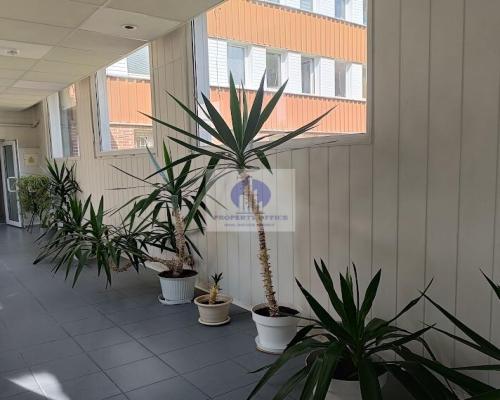 Mokotów: lokal biurowy 20m2 do wynajęcia