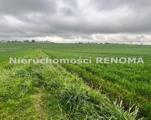 Na sprzedaż działka budowlano-rolna Jastrzębie-Zdr