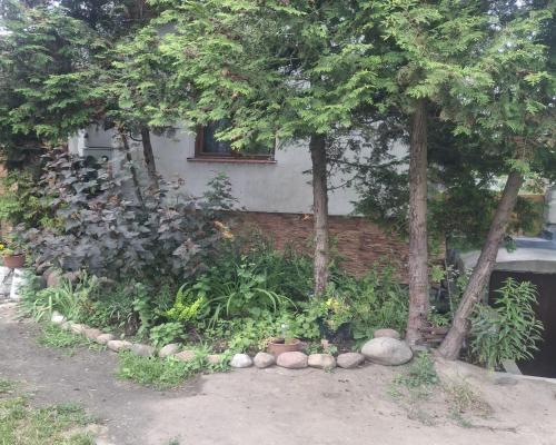 Sprzedam dom 1/2 bliźniaka o powierzchni ok 60m2 na działce 455m2 w Wawrze okolica ul Bronowskiej.Dom parterowy składa się z ku