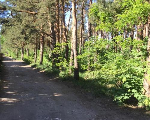 Urokliwa działka w Międzylesiu.