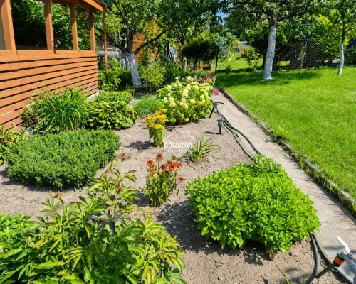 Działka ROD po remoncie, 350 m²