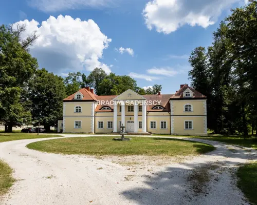 Historyczny Pałac w Radoszewnicy