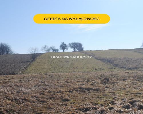 Duża działka budowlano-rolna w Bodzanowie