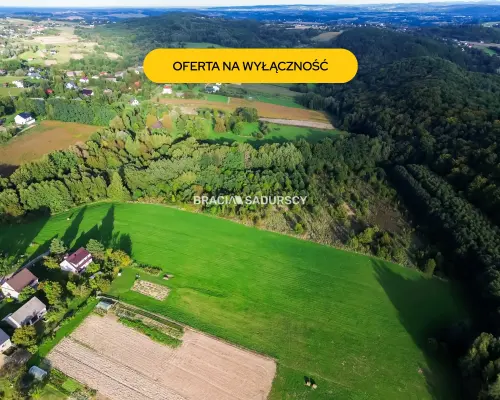 Duża działka z potencjałem inwestycyjnym – 2,52 ha
