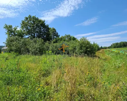 Działka z MPZP | Marcyporęba, gm. Brzeźnica