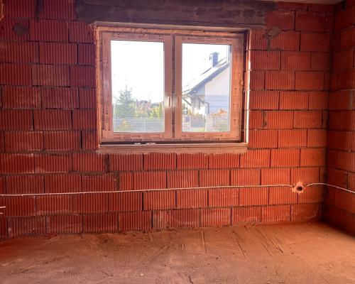 Bliźniak w Nowym Aleksandrowie.