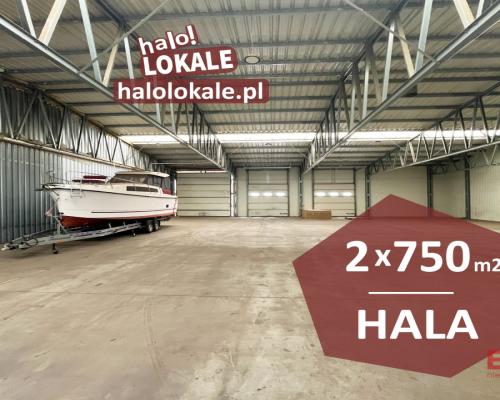 Hala, produkcja, magazyn