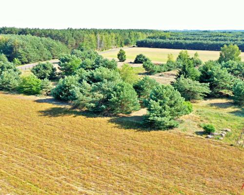 2 działki na sprzedaż - Okna,Baruchowo