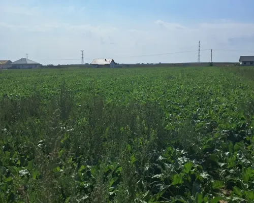 Uzbrojona działka. Gm. Puchaczów