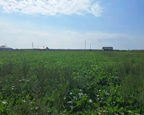 Działka budowalna 16a - Gm. Puchaczów - Turowola.