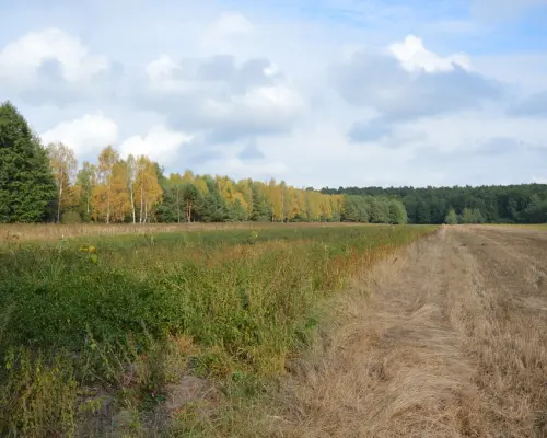 Działka, Klarów, 1,09 ha