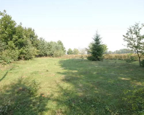 Działka 16 ar w miejsc. Gołąb pow. Lubartowski