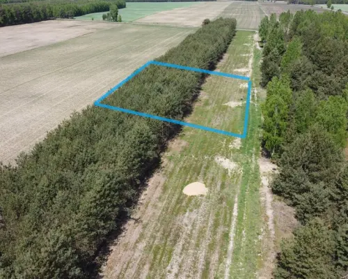 Działka z WZ w Wólce Gonciarskiej gm. Kazanów.