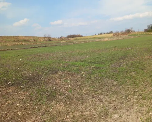 Jakubowice Murowane, gm. Wólka-działka 6600m2