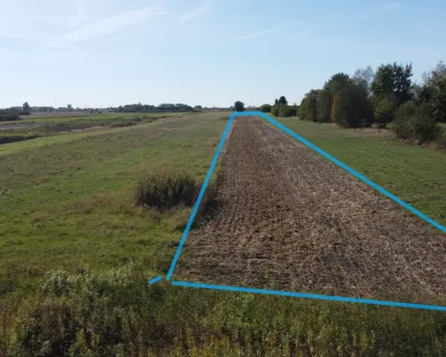 Działka budowlana 0.55 ha Sielce gm. Końskowola
