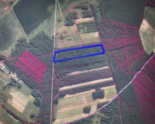 Działka leśna 3,90 ha w Brodach  gm. Pierzchnica.