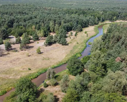 Działka 800 m2 w Woli Chodkowskiej Warszawa 85 km.