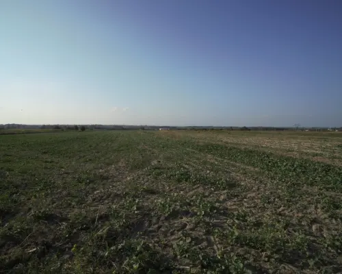 Działka 0,94ha U/MN Wólka gm. Długie pod Lublinem.