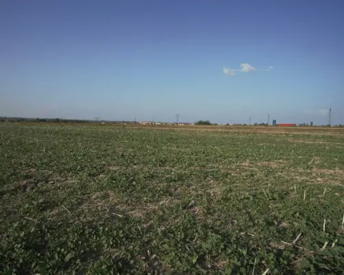 Działka 0,82ha U/MN Wólka gm. Długie pod Lublinem.