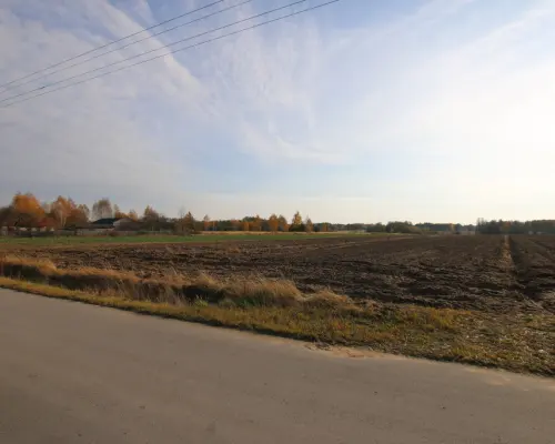 Działka rolno budowlana 65ar Sobolew Kol g. Firlej