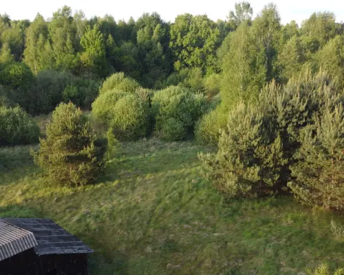 Nietypowa działka 2 ha w Kawęczynie gm. Ciepielów