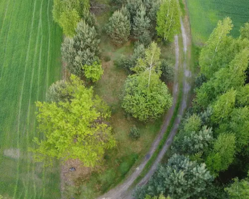 Działka o  pow. 1,63 ha w Karolowie gm. Chotcza.