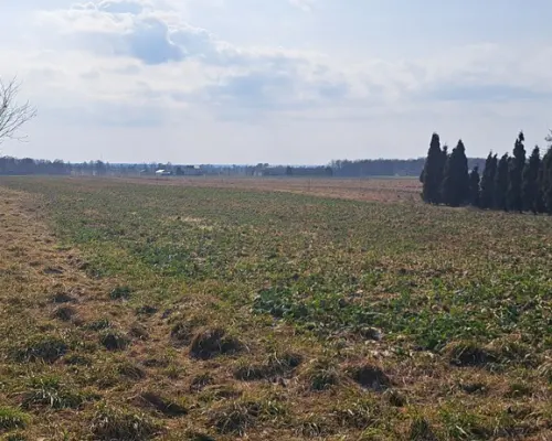 Radawiec Mały. Działka z projektem i pozwoleniem.
