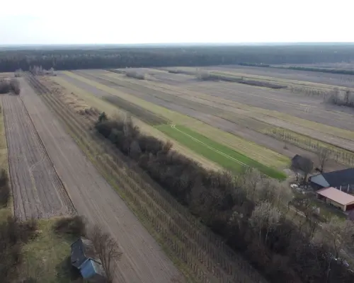 Siedlisko 3000 m2 w Boiskach gm. Solec nad Wisłą.