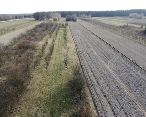Siedlisko 3000 m2 w Boiskach gm. Solec nad Wisłą.