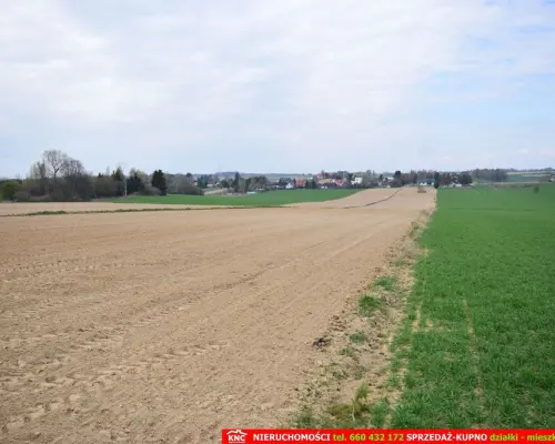 Duża działka rolno-bud. blisko lasu i zalewu.