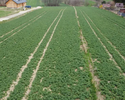 Działka budowlana blisko Zalewu Zemborzyckiego!!!