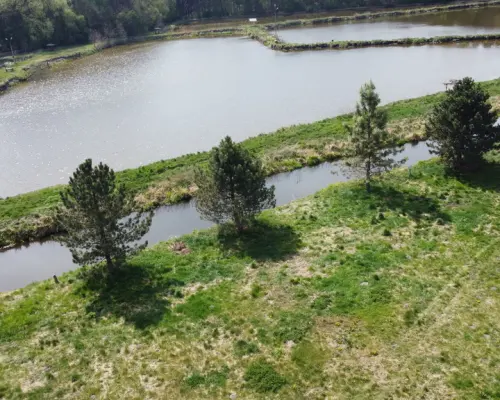 5,42 ha, Stawy rybne, las, Zemborzyce, Lublin