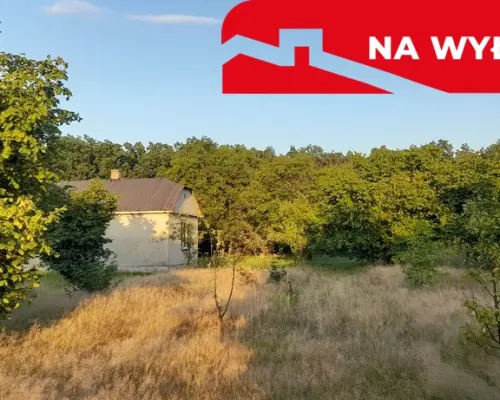 Ładna, uzbrojona działka pod lasem-33a-Wilczopole