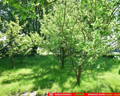 Dom do wykończenia graniczący z rz. Ciemięgą