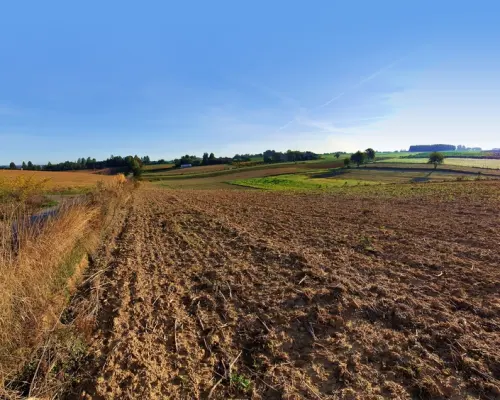 Działka 53ar w doskonałej cenie - blisko Nałęczowa