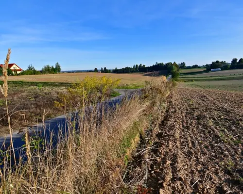 Działka 53ar w doskonałej cenie - blisko Nałęczowa