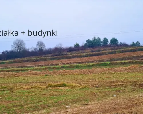 Obiekt produkcyjny z dużą ilością ziemi-gm.Wysokie