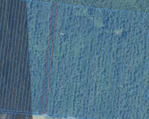 Działka leśna, 0.61ha, drzewostan 50+, Spiczyn