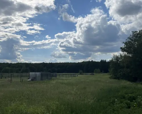 Działka 0,45 ha Uściąż 5 km od Kazimierza Dolnego.