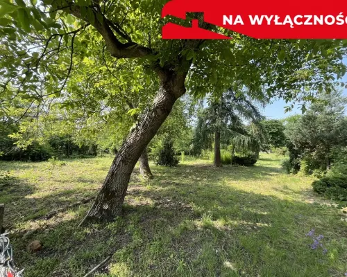 Siedlisko w Kaliszanach Kolonii gm. Józefów