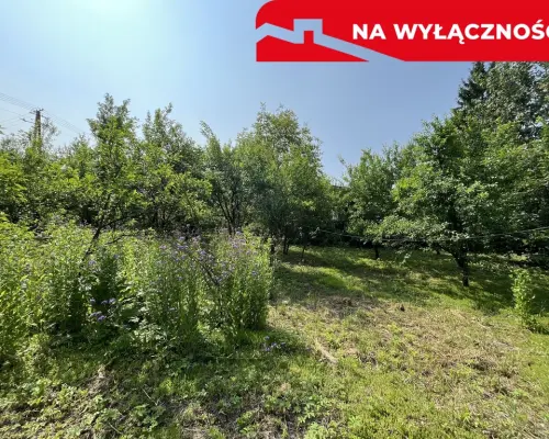 Siedlisko w Kaliszanach Kolonii gm. Józefów