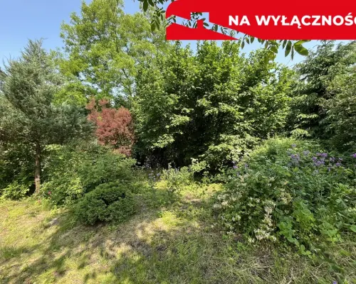 Siedlisko w Kaliszanach Kolonii gm. Józefów