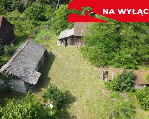 Siedlisko w Kaliszanach Kolonii gm. Józefów