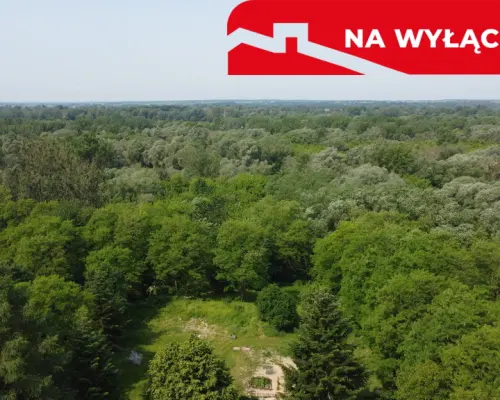 Siedlisko w Kaliszanach Kolonii gm. Józefów