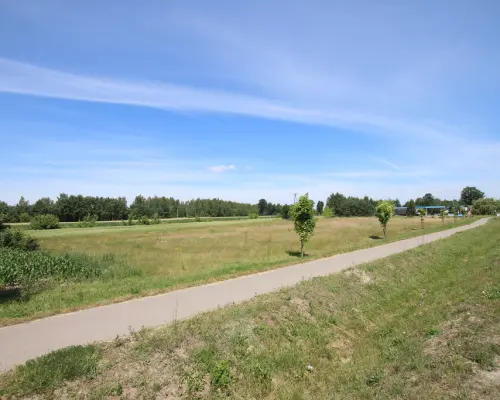 Działka usługowa min 20ar max 50ar  Pałecznica Kol