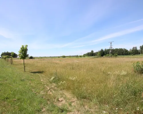 Działka usługowa min 20ar max 50ar  Pałecznica Kol