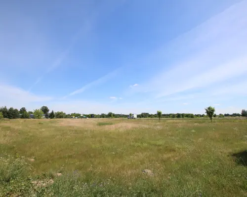 Działka usługowa min 20ar max 50ar  Pałecznica Kol