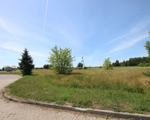 Działka usługowa min 20ar max 50ar  Pałecznica Kol