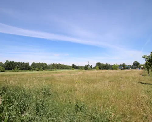 Działka usługowa min 20ar max 50ar  Pałecznica Kol